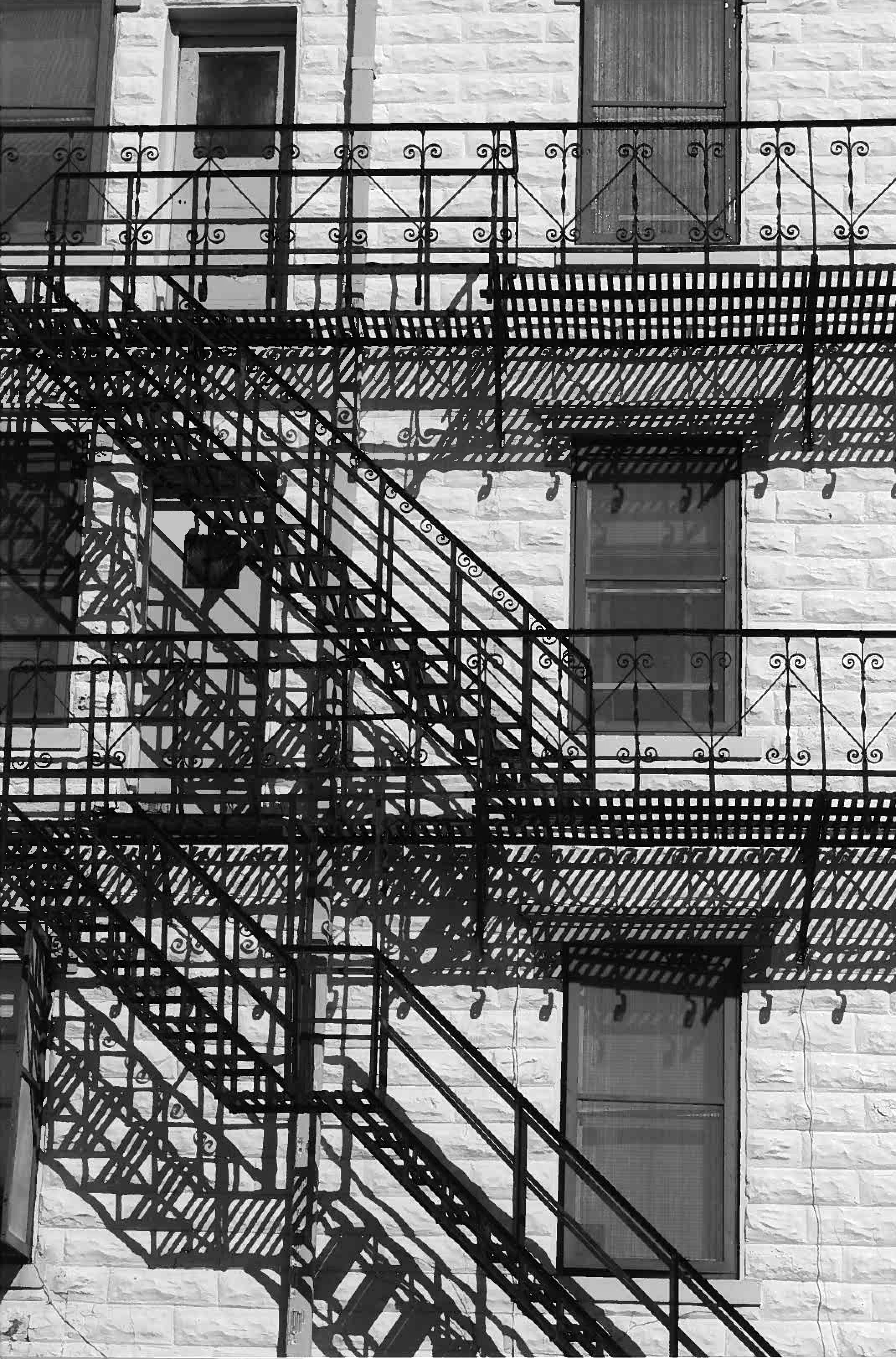 lines and squares